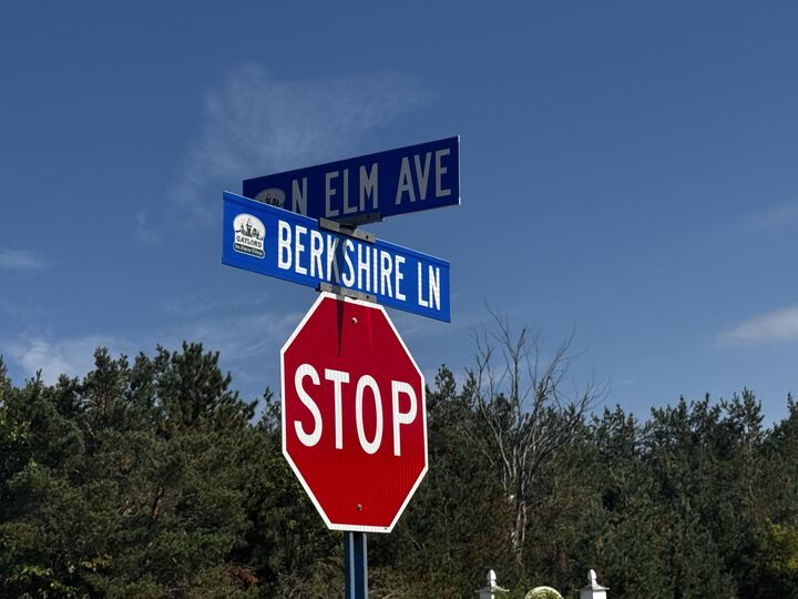Property Photo: 217 Berkshire Lane MI 49735