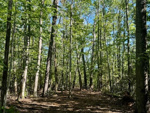 Parcel B Long Lake Rd  Cheboygan MI 49721 photo