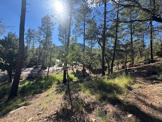 Property Photo: Lot 31 W Sage Ct AZ 85544
