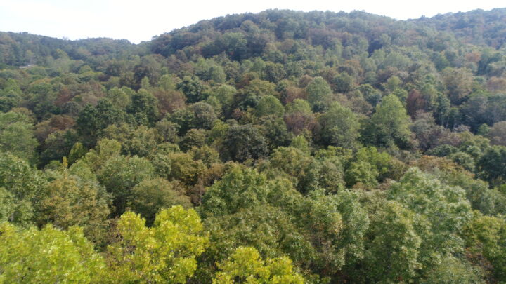 Property Photo:  15001 South Hwy 27  KY 41519 