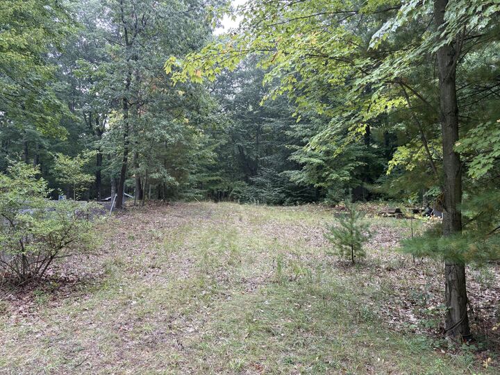 Property Photo: Lot 62, 14th Avenue MI 49436