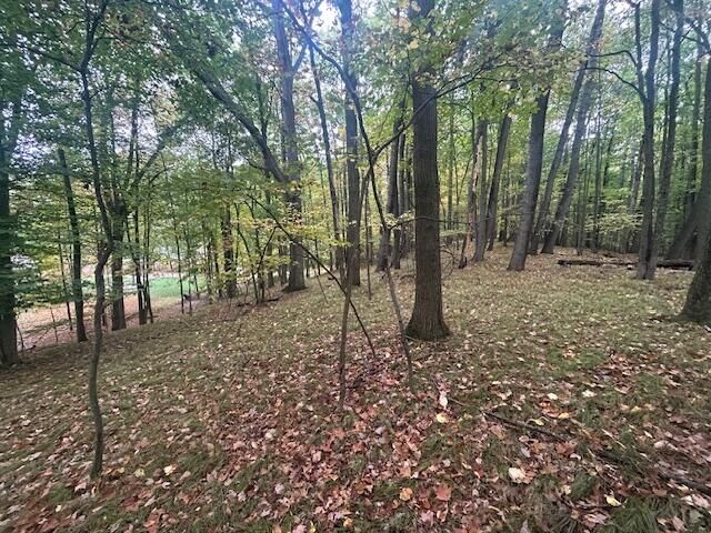 Property Photo: 11269 Apache Wells Court MI 49346