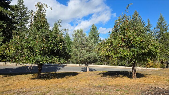 Property Photo:  687 Iron Creek Road  MT 59935 
