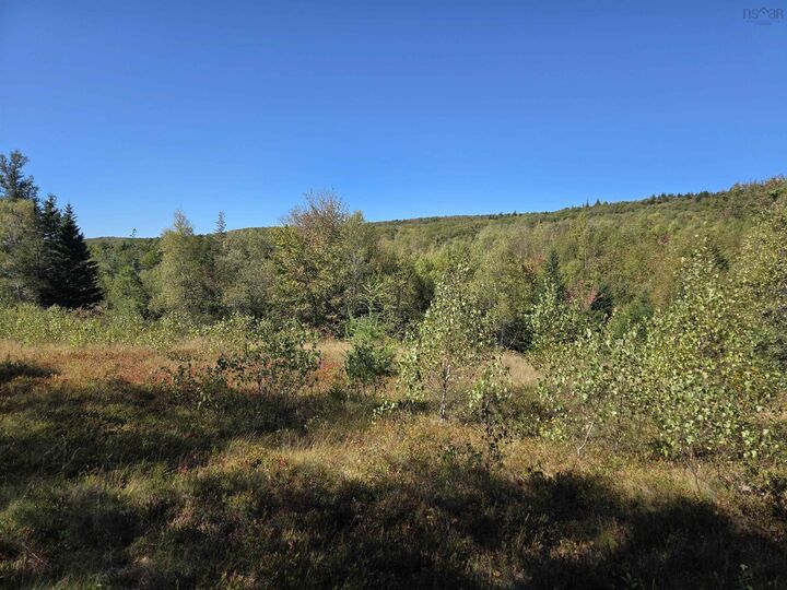 Property Photo:  Mines Bass River Road  NS B0M 1B0 
