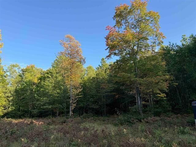 Property Photo: 000 US Hwy 2 WI 54847