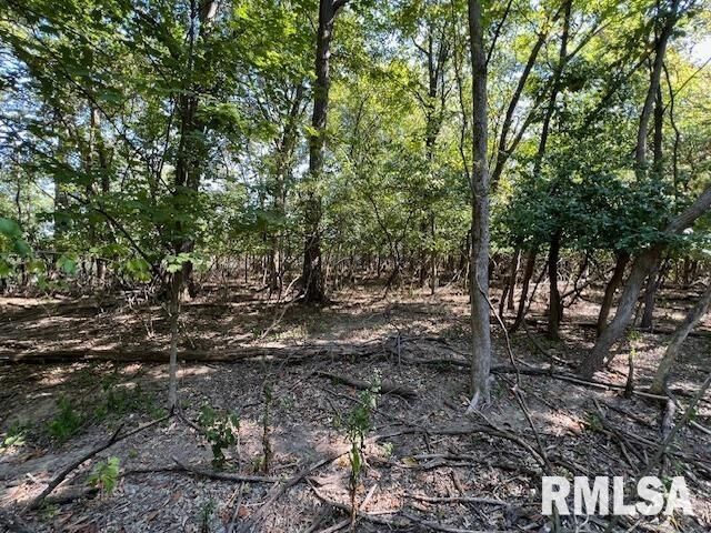 Property Photo:  000 Barnett Street  IL 62918