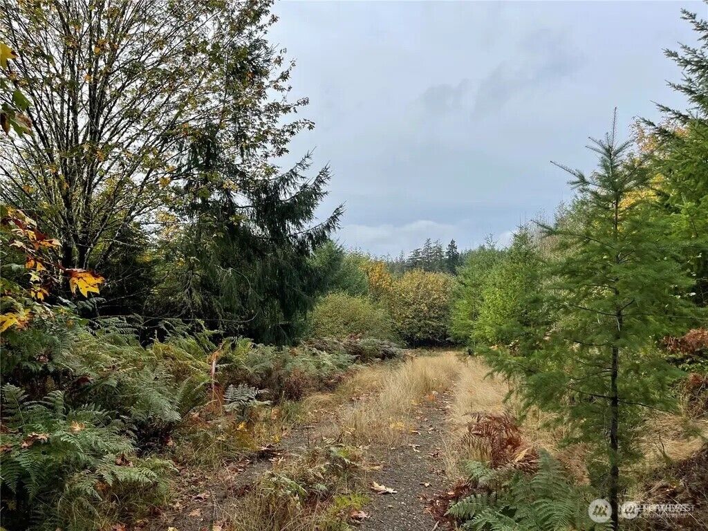 Property Photo:  30 Acres  Glenwood Road SW  WA 98367 