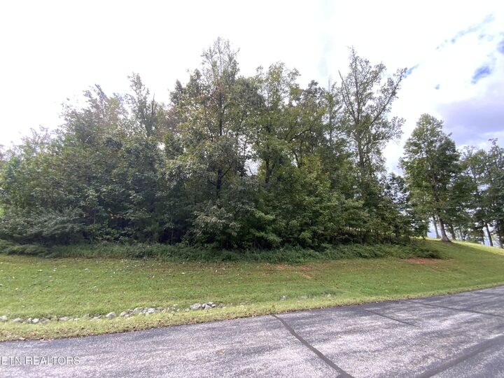 368 Walking Horse Tr  Rockwood TN 37854 photo