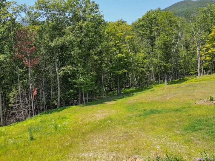 Property Photo:  61 Hillside Drive  NY 12494 