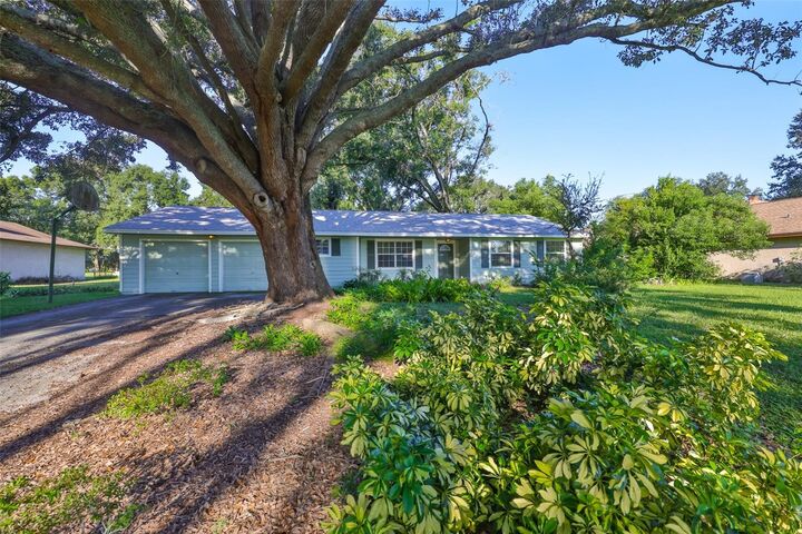 Property Photo:  306 Hollowtree Drive  FL 33584 