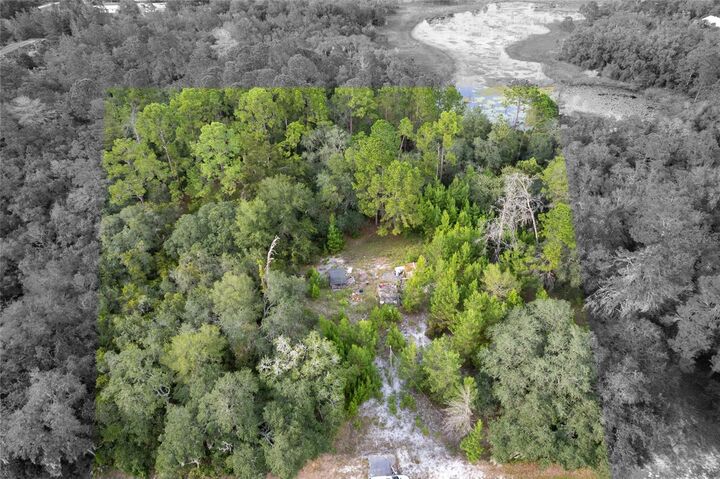 Property Photo: 31615 Pinecrest Road FL 32736