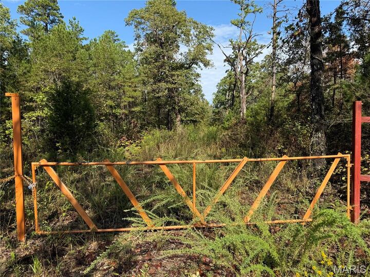 0 Wayne Highway D  Greenville MO 63944 photo