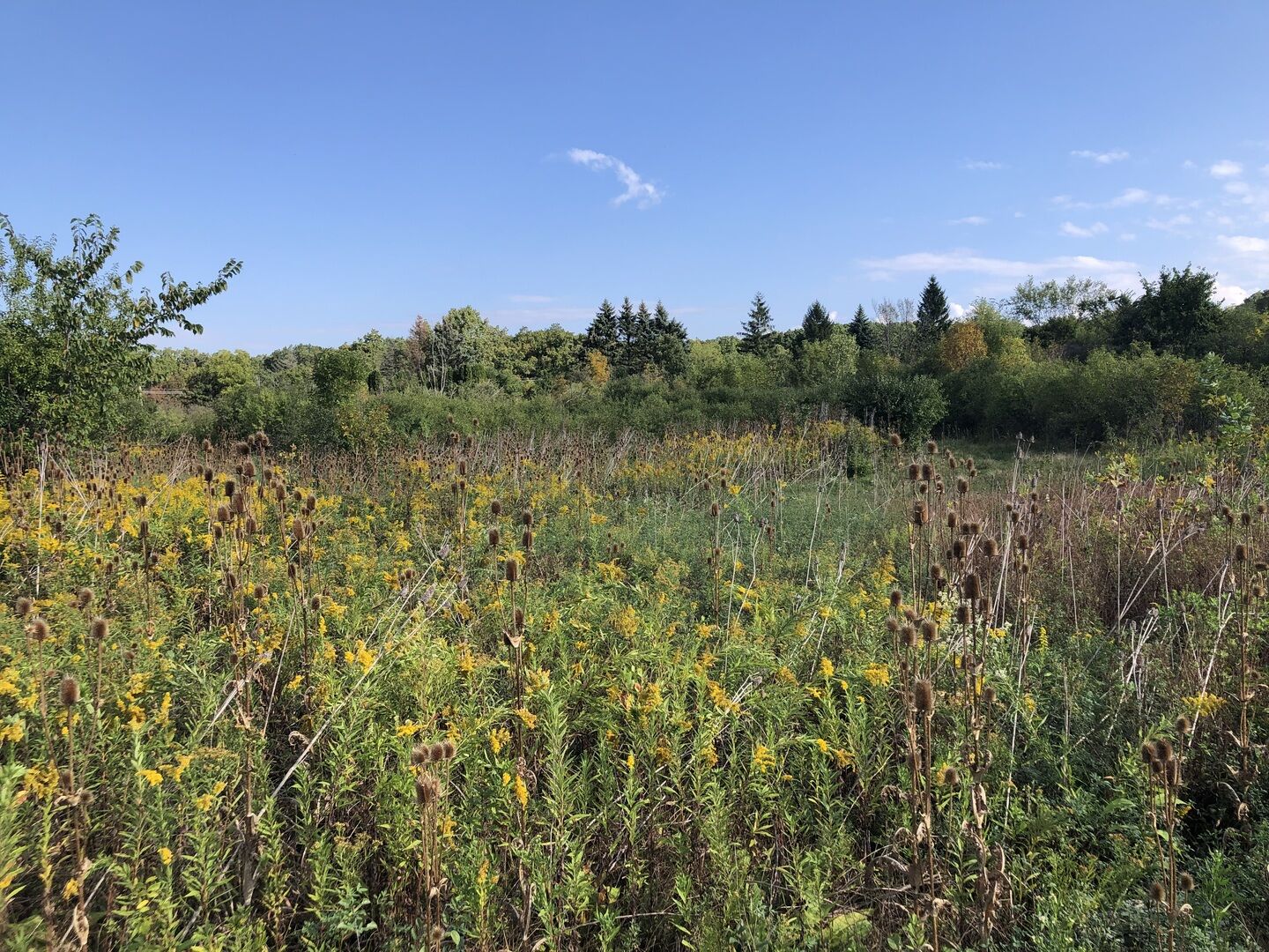 Property Photo:  8 Alexandra Drive  IL 60048