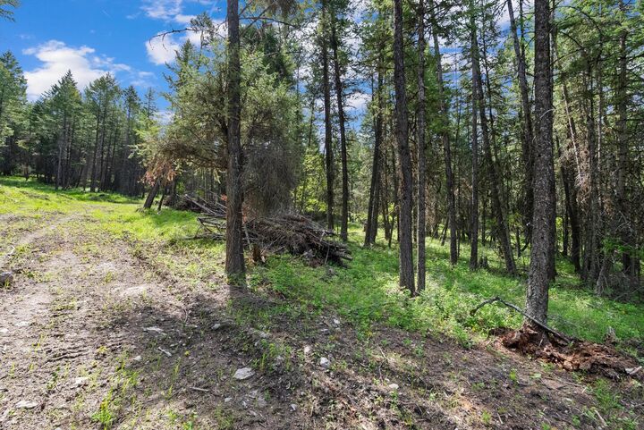 Property Photo:  433, 437 & 439 Buffalo Trail  MT 59932 