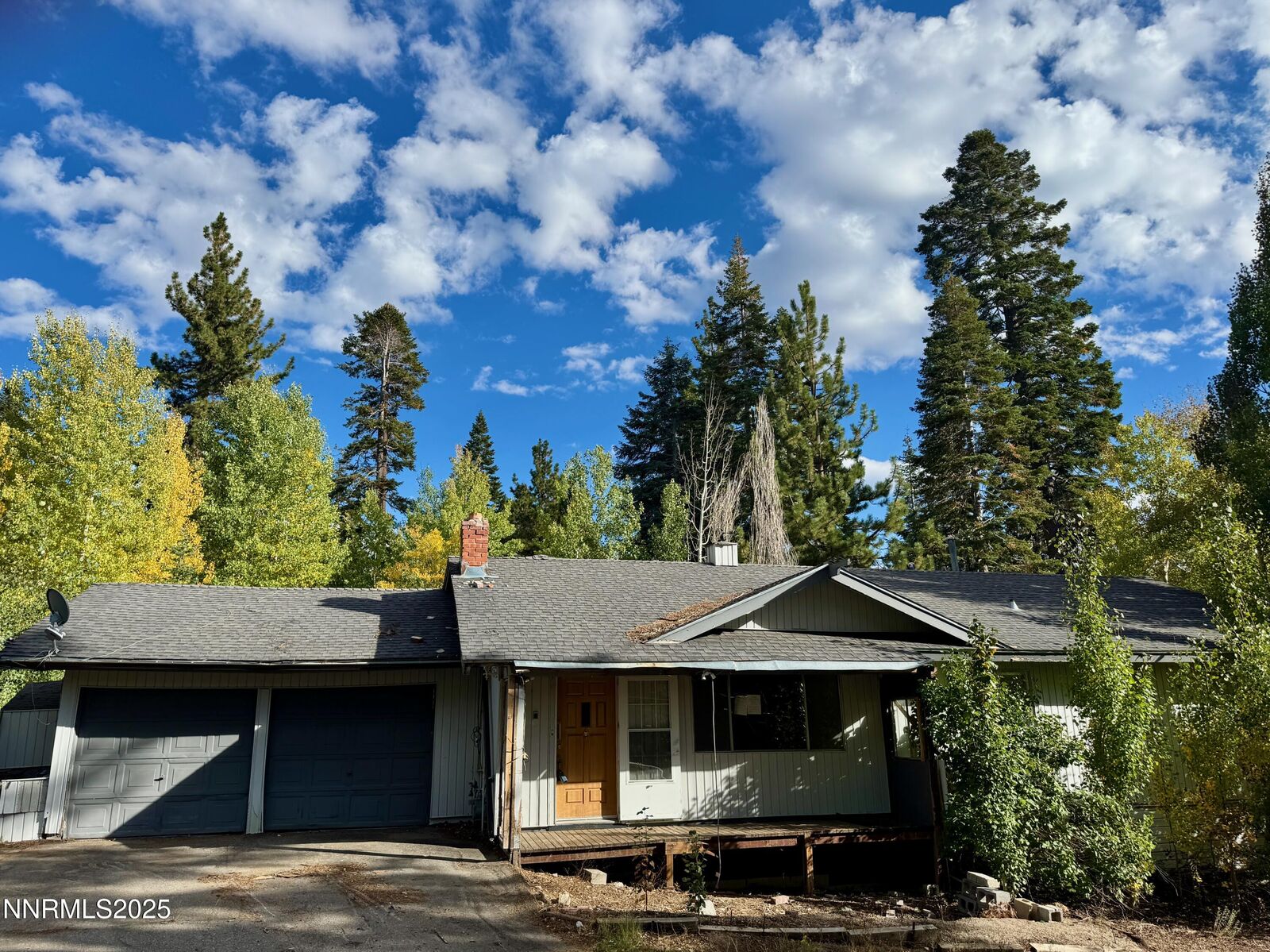 Property Photo:  302 Griffin Court  NV 89449 