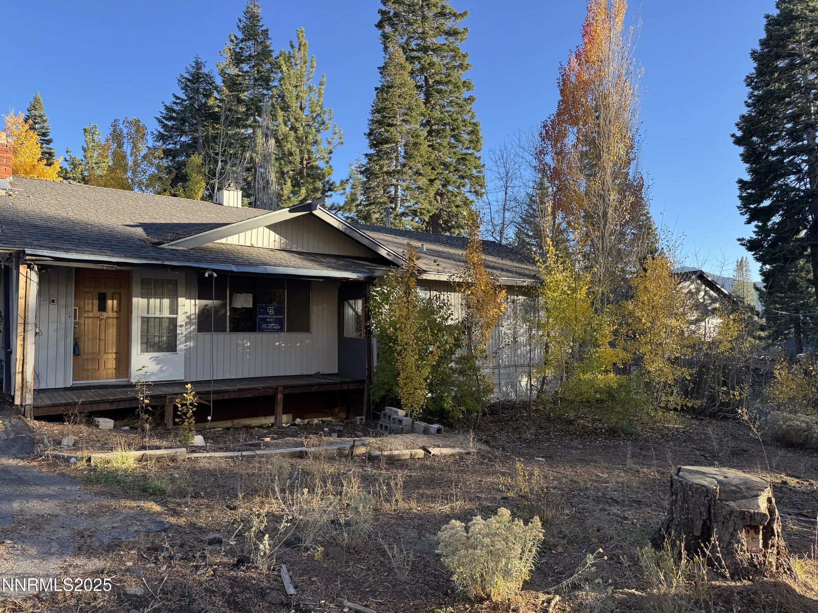 Property Photo: 302 Griffin Court NV 89449