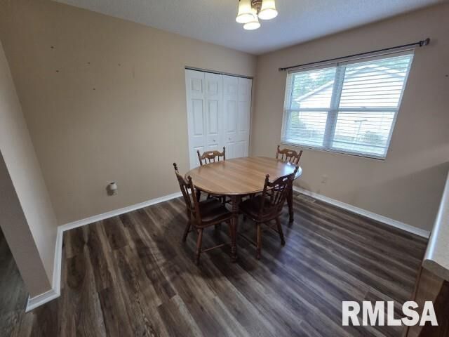 Property Photo:  900 Ellis Drive  IL 62864 