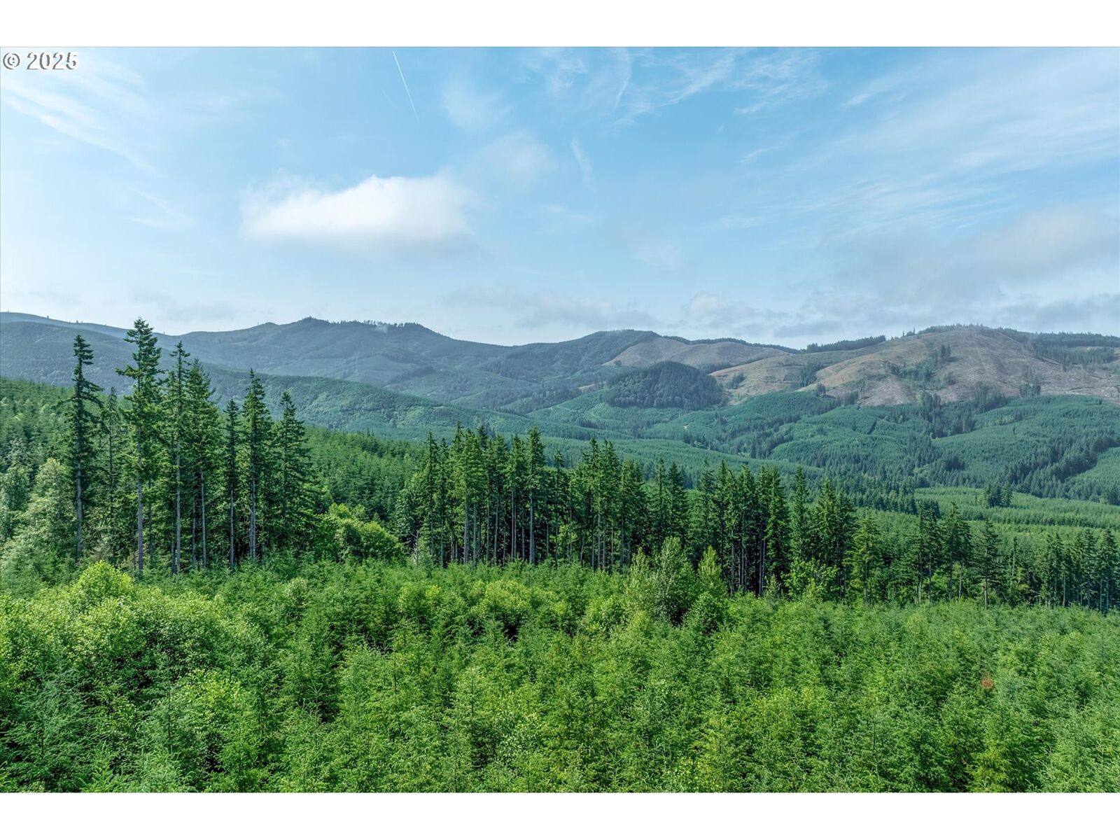 Property Photo:  220 Wagner Rd  WA 98626 
