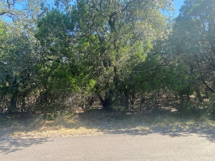 Property Photo:  21503 Santa Elena Circle  TX 78645 