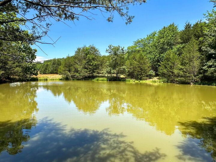 Property Photo:  4115 Johnson View Road  AR 72587 
