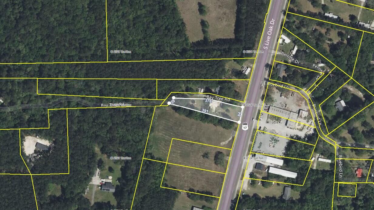 Property Photo: 2063 S Live Oak Drive SC 29461