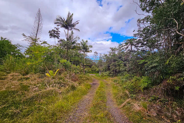 Property Photo:  16-1346 Road 7 (Opeapea)  HI 96760 
