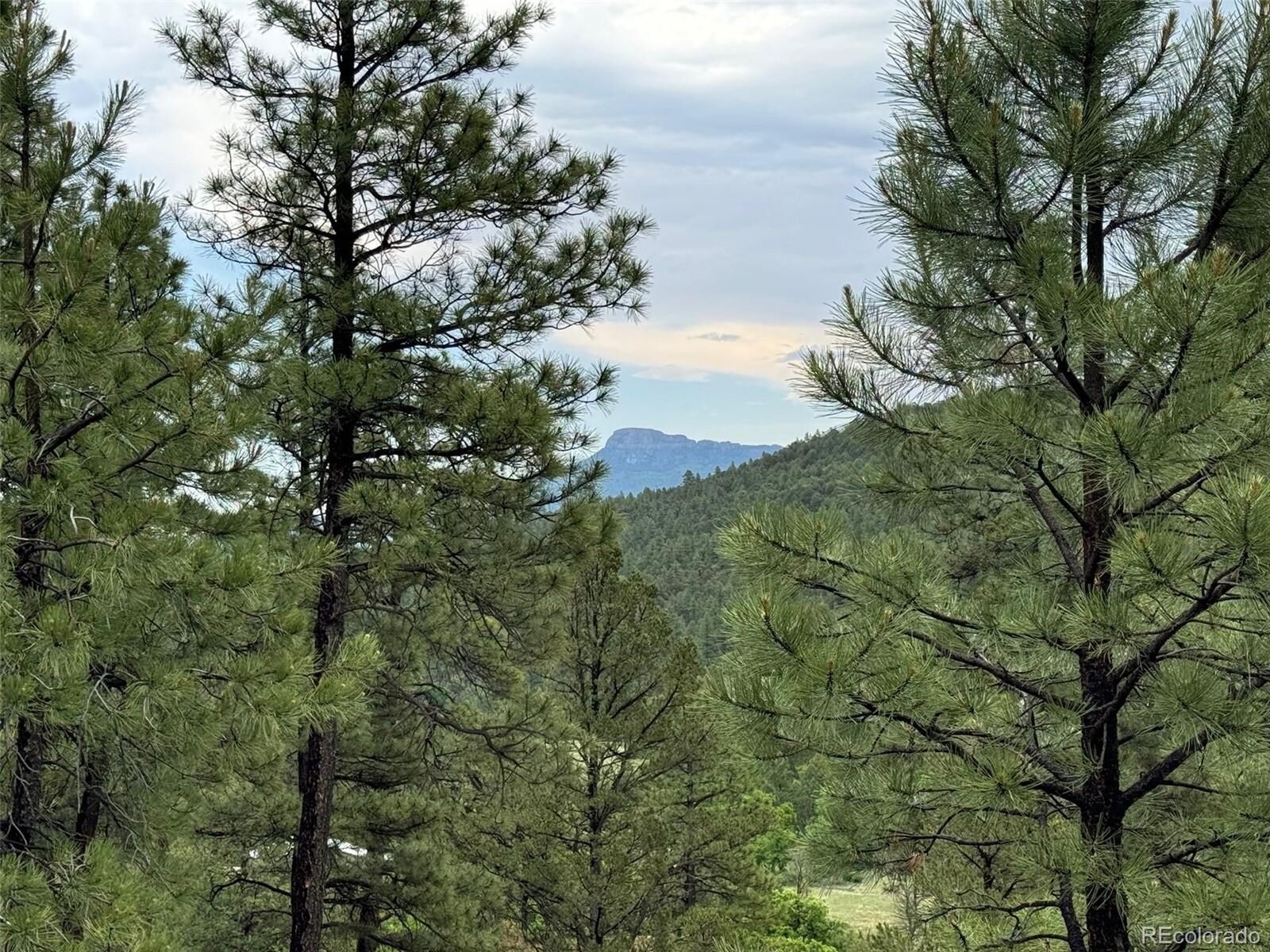 Property Photo: 33161 Gallinas Pkwy CO 81082