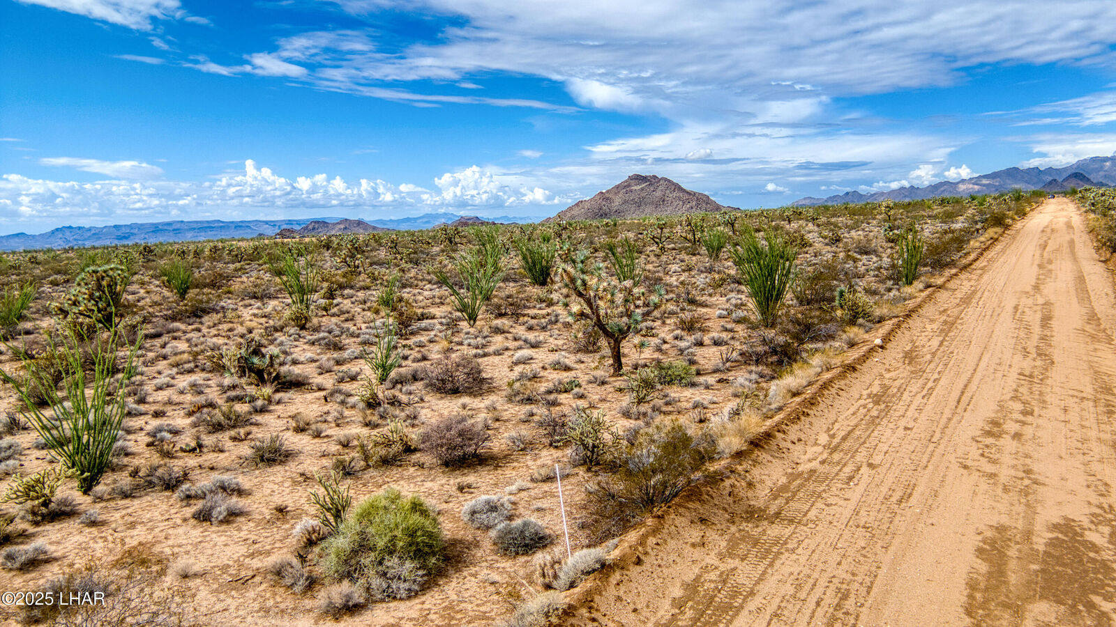 Property Photo:  3607 S Kit Carson Rd  AZ 86438 
