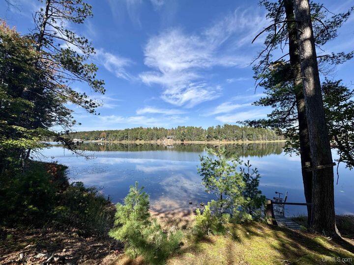 Property Photo:  113 &Amp 120 Lohrey Lane  MI 49920 