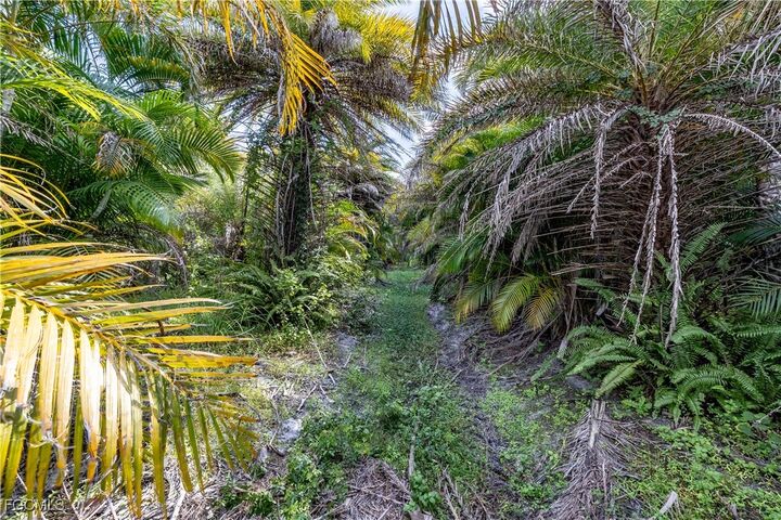 Property Photo:  12549 Tiffany Road  FL 33922 
