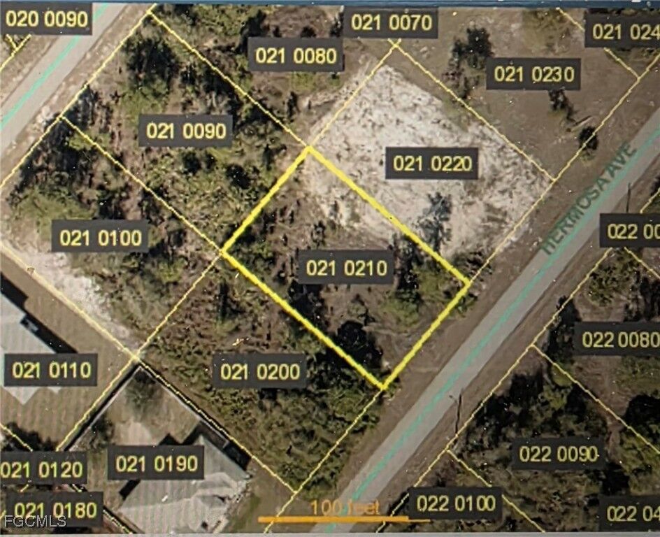Property Photo:  352 Hermosa Avenue  FL 33974 