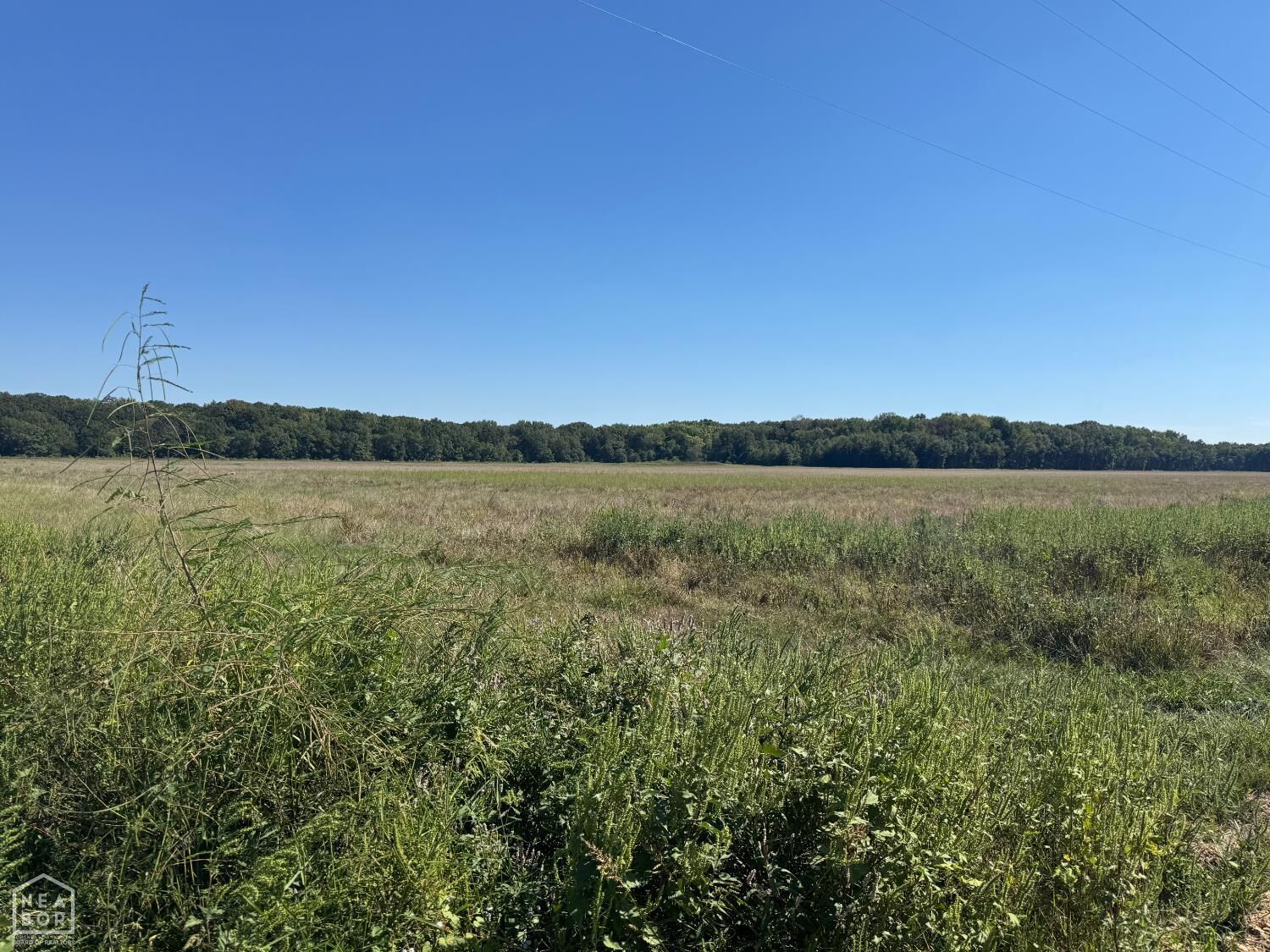 Property Photo: 619 Flag Slough Lane AR 72479