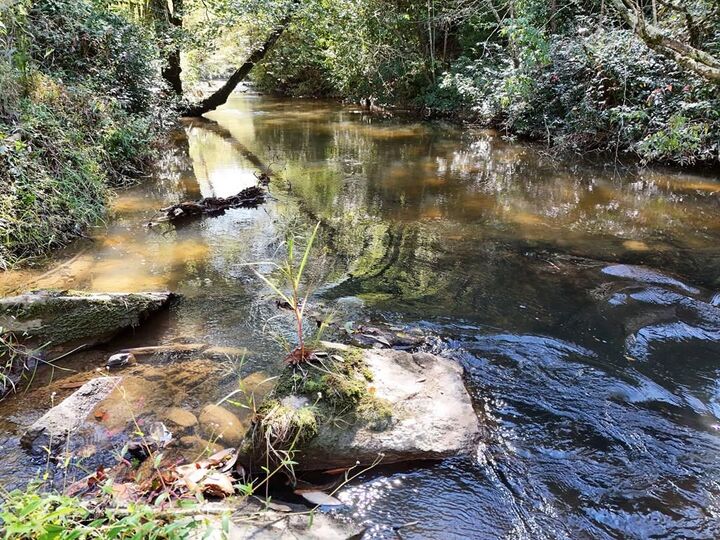 Property Photo: Lt 27/28 Donna Lee Lane GA 30559