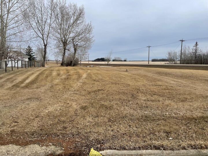 Property Photo: 4502 53 Avenue AB T0B 1A0