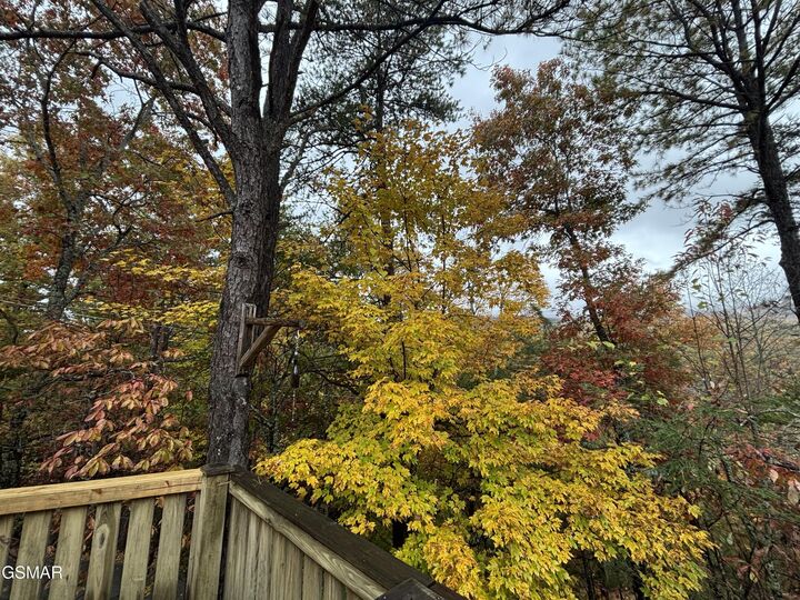 Property Photo:  317 Matterhorn Drive  TN 37738