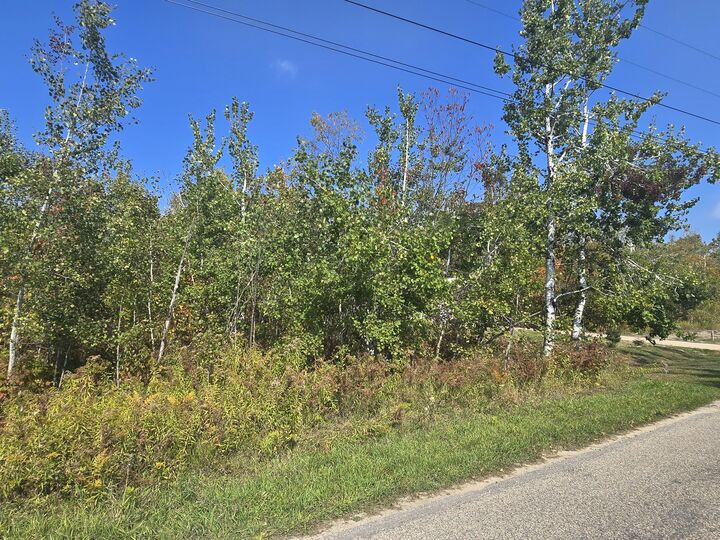 V/L Birchdale Drive  Johannesburg MI 49751 photo