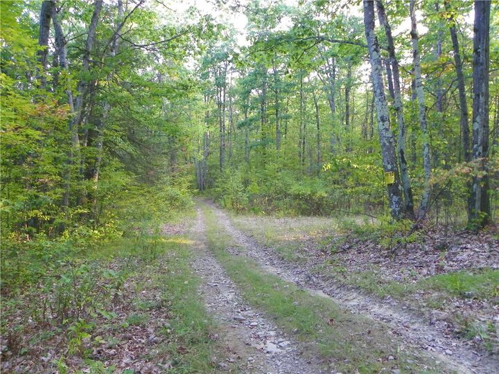 0 Hickory Hill Rd W  Bath NY 14810 photo