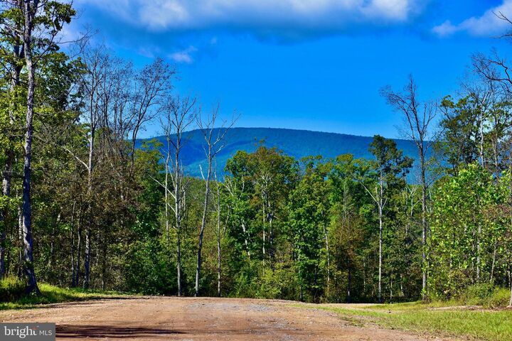 Lot 1 (128.556 Acres) Laurel Grove Road  Winchester VA 22602 photo
