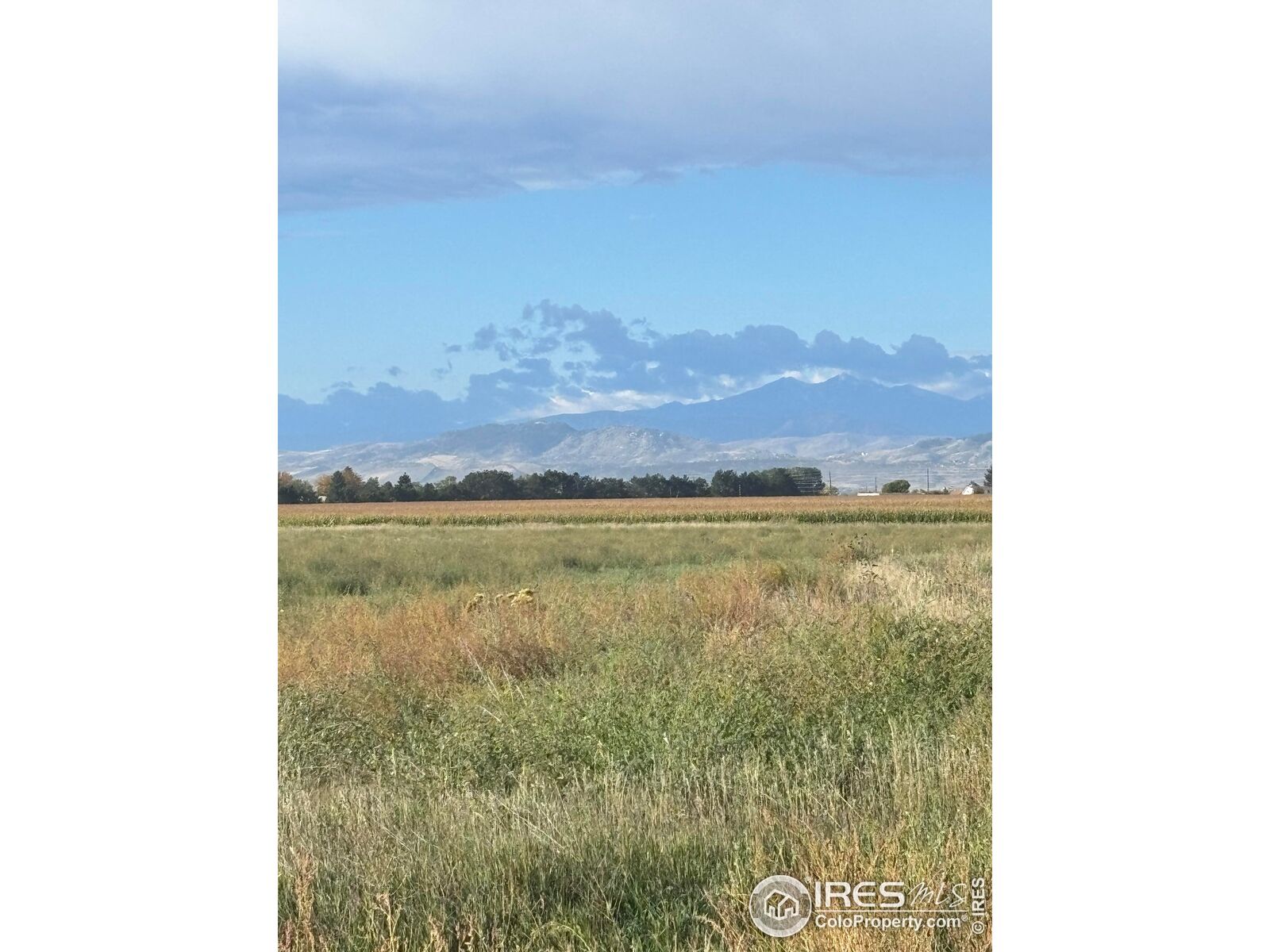 Property Photo:  4625 E County Road 54  CO 80524 