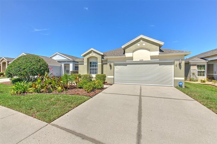 5046 Gato Del Sol Circle  Wesley Chapel FL 33544 photo