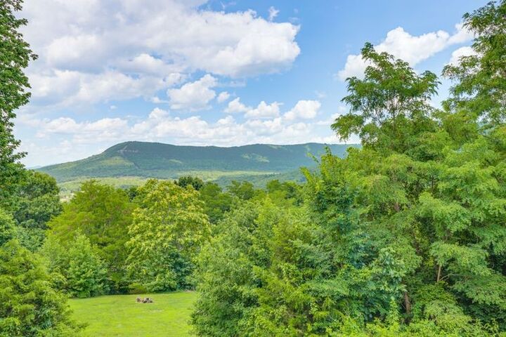 Property Photo: 263 Nc 8466 AR 72666