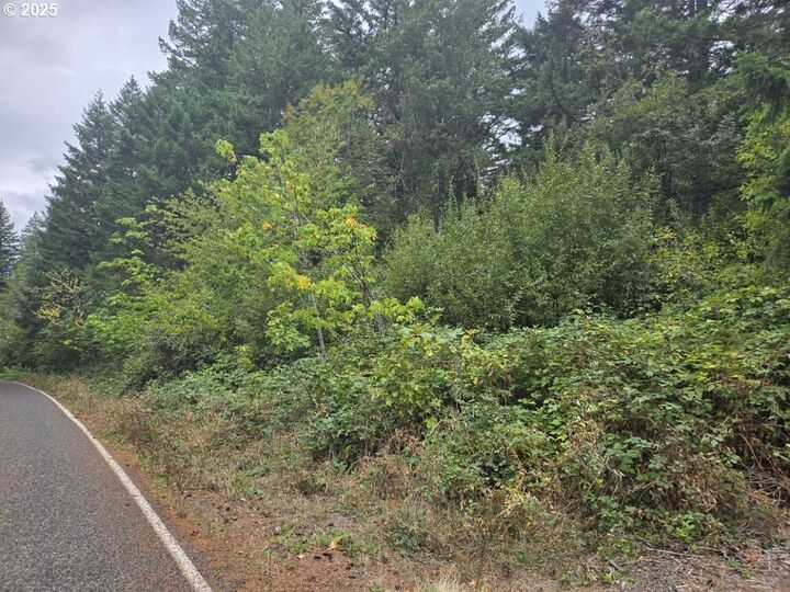 Property Photo:  Montell Terrace  WA 98648 