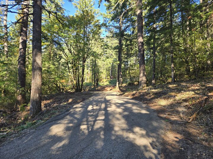 Property Photo: Montell Terrace WA 98648