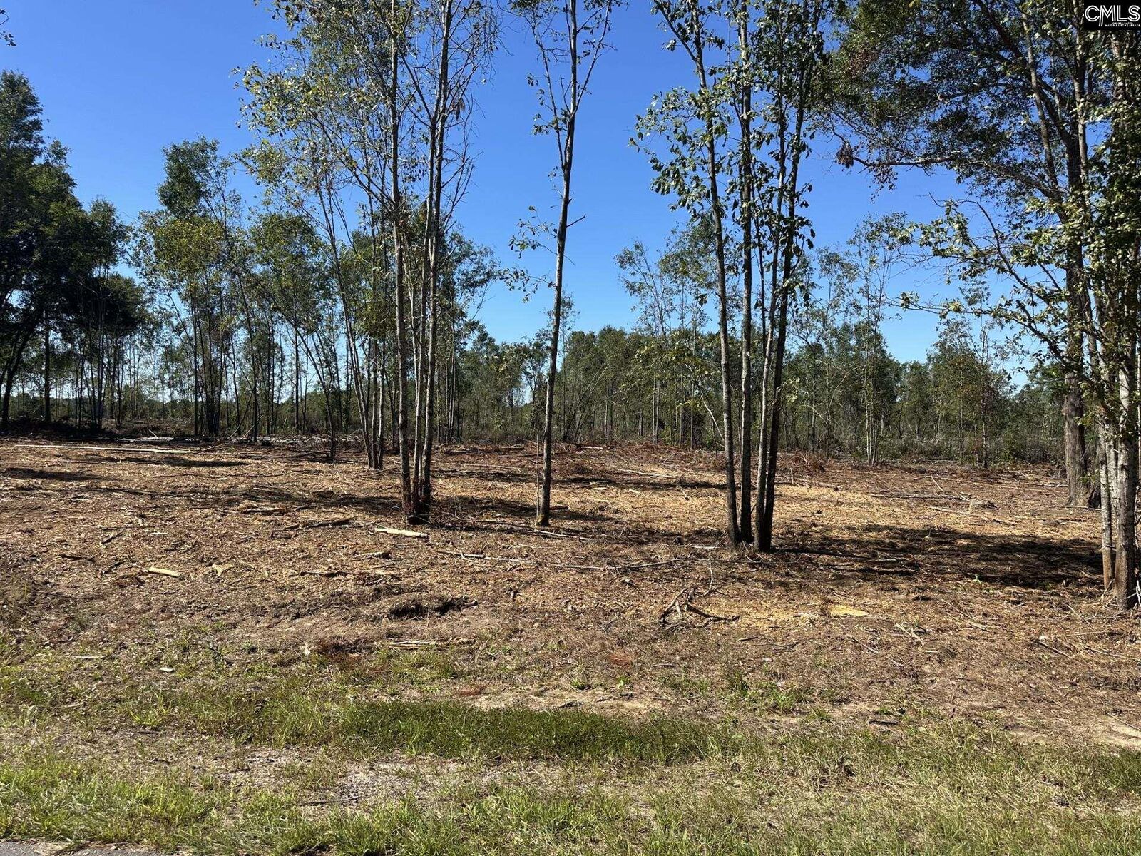 Property Photo:  0 Sc Hwy 773  SC 29126 