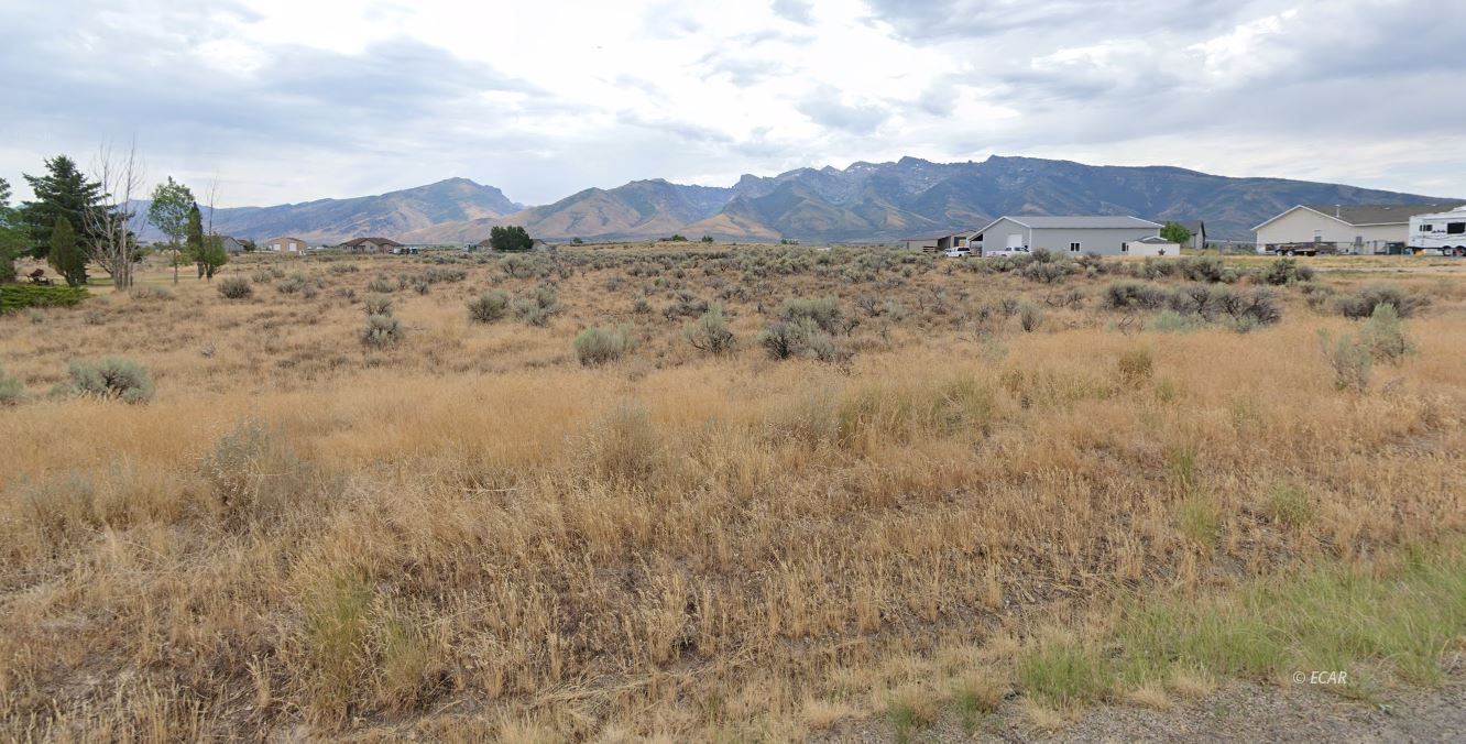 Property Photo: 768 Alpine Drive NV 89815
