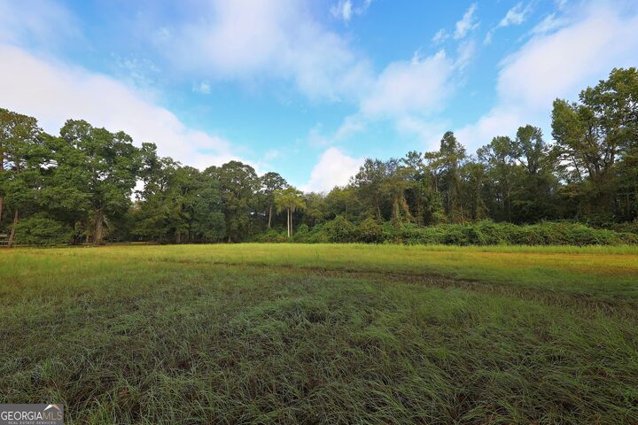 Property Photo:  23481 N US Hwy 19  GA 31773 