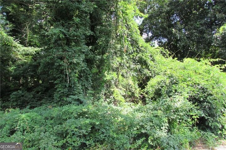 Property Photo: 0 Melbenan Drive SW GA 30311