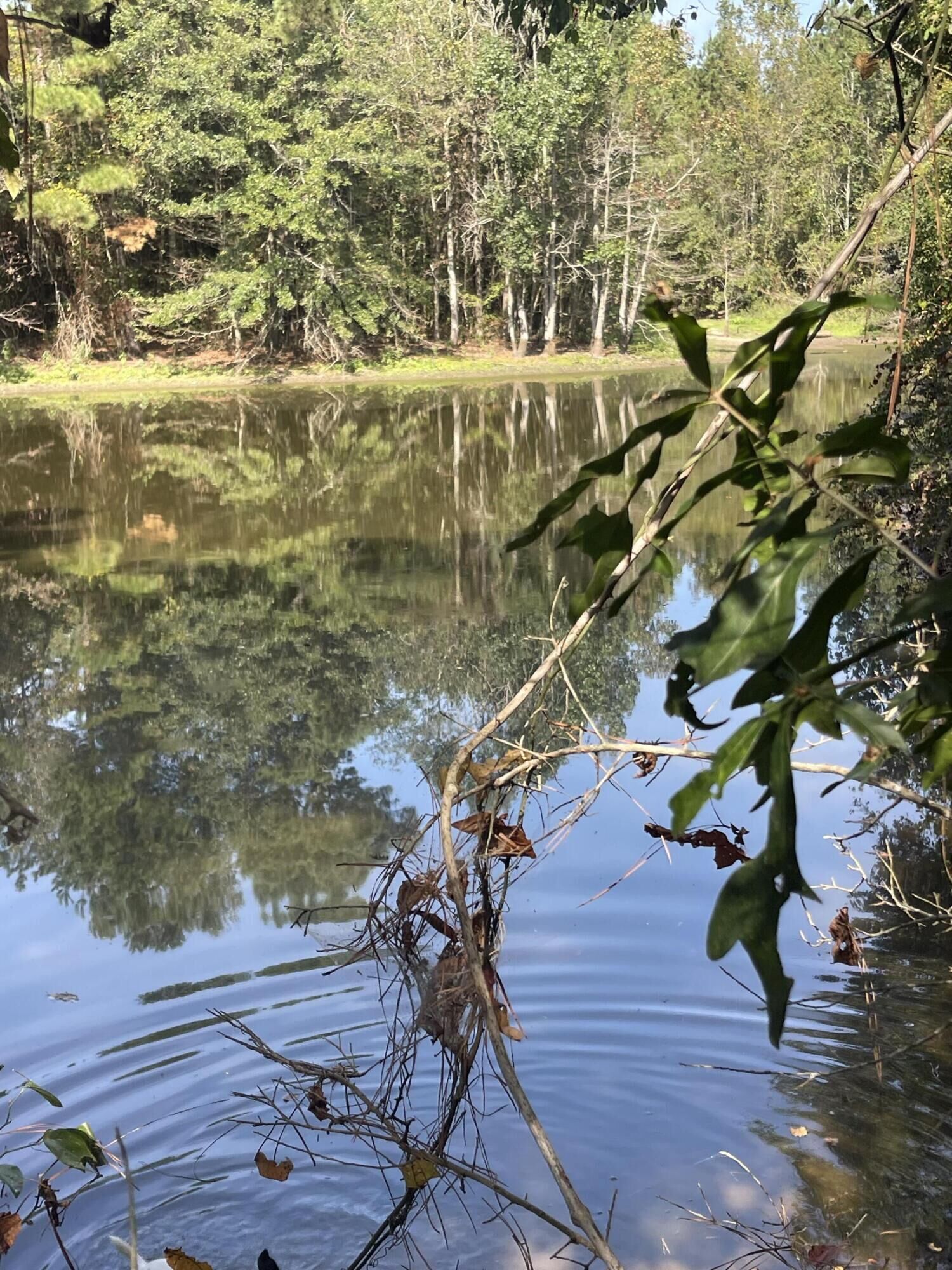 Property Photo:  37 Ac 50 Dolphus Rainey Rd.  MS 39479 