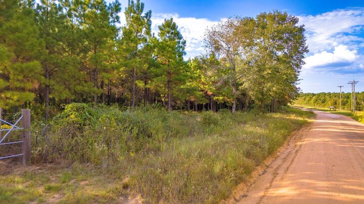 Property Photo:  Lot 9 Nursery Road  TX 77351
