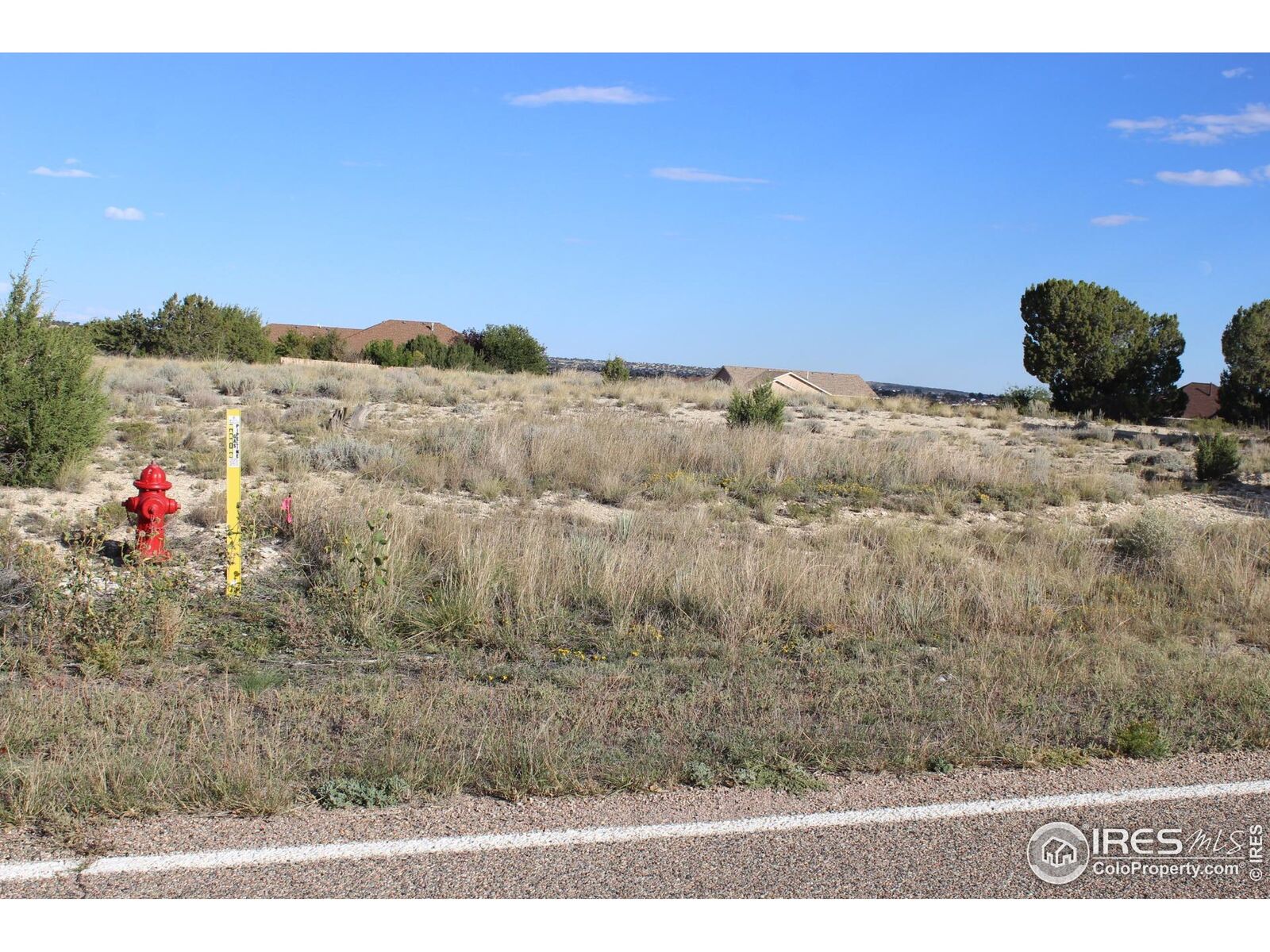 Property Photo:  608 S Tejon Ave  CO 81001 